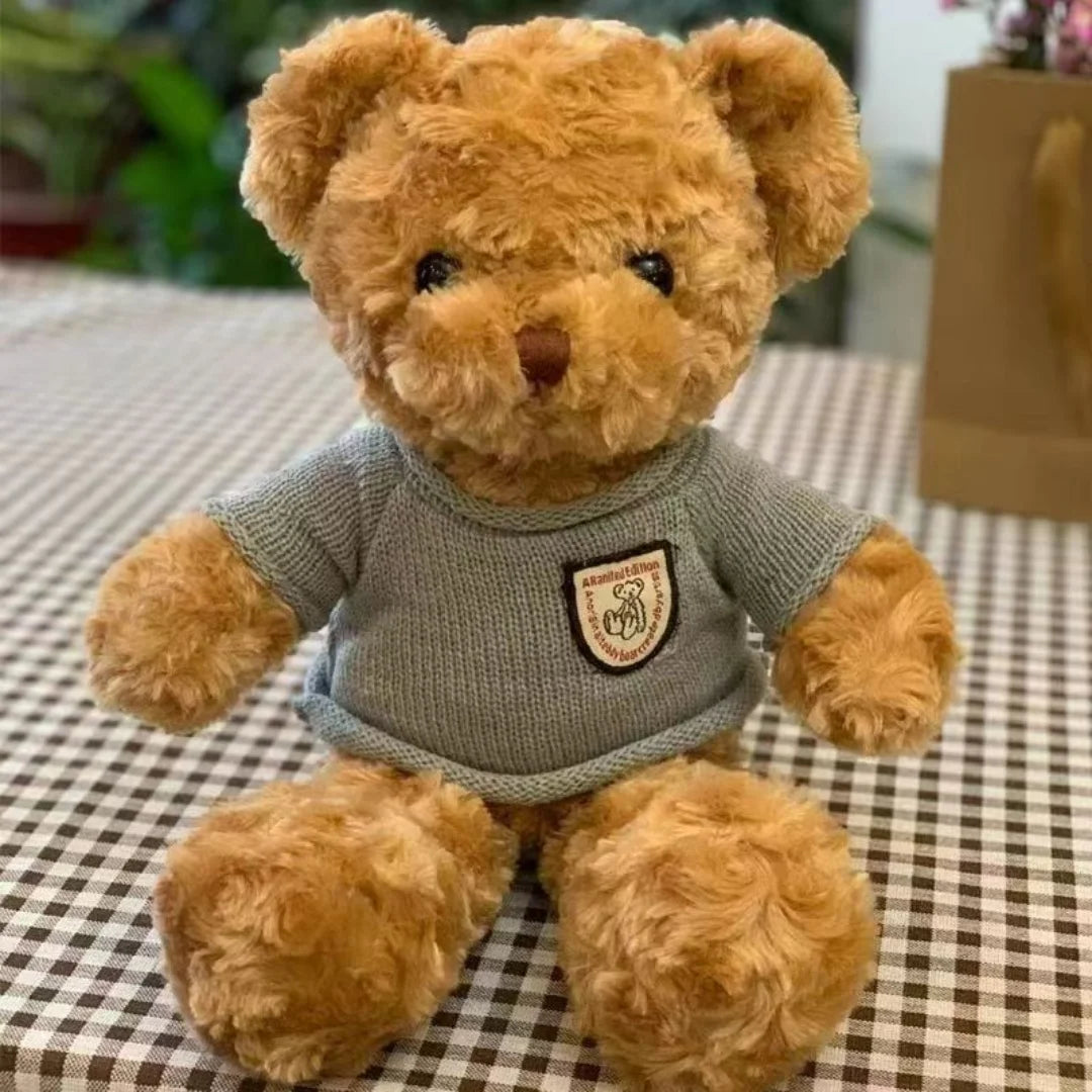 Cozy Teddy Bear Plush- Sweater Edition