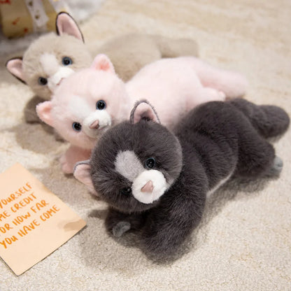 Persian Cat Plush – Gray & Pink Edition