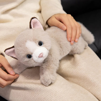 Persian Cat Plush – Gray & Pink Edition