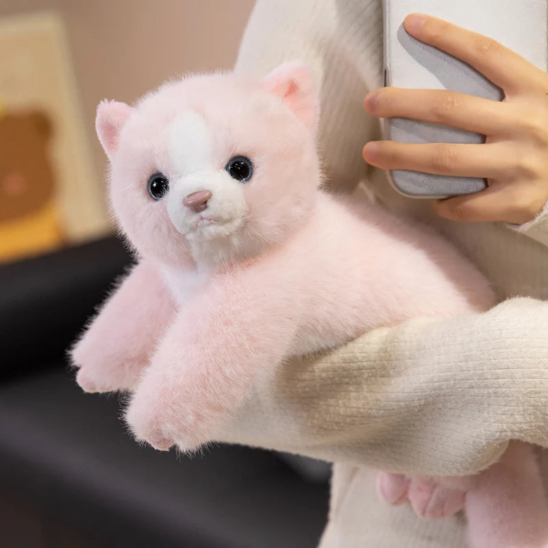 Persian Cat Plush – Gray & Pink Edition