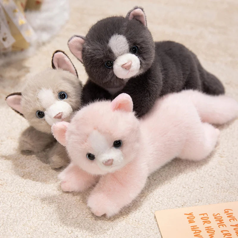 Persian Cat Plush – Gray & Pink Edition