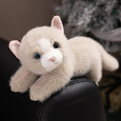 Persian Cat Plush – Gray & Pink Edition