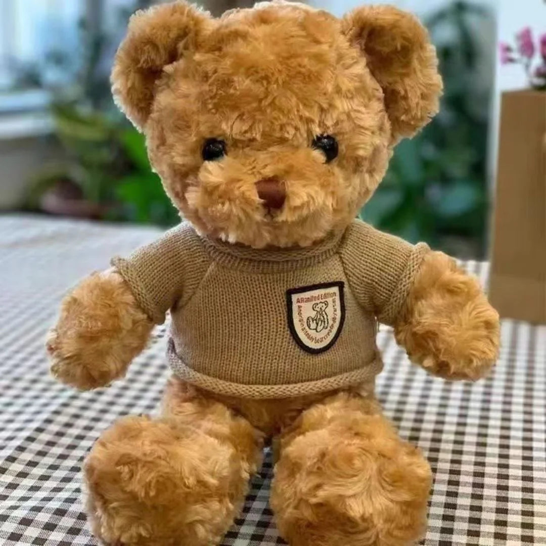 Cozy Teddy Bear Plush- Sweater Edition