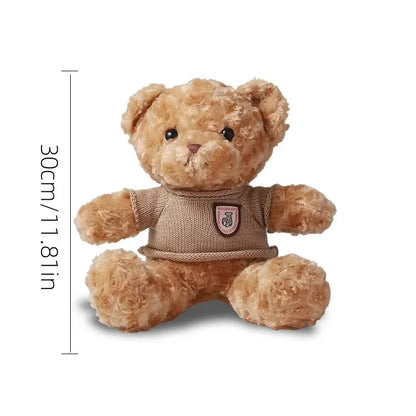 Cozy Teddy Bear Plush- Sweater Edition