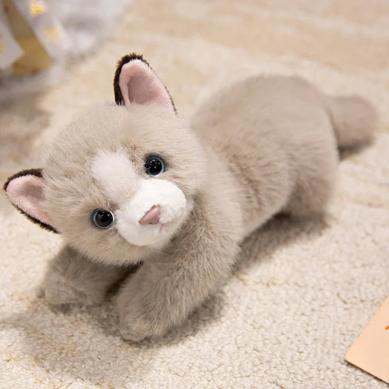 Persian Cat Plush – Gray & Pink Edition