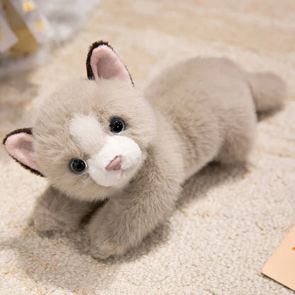 Persian Cat Plush – Gray & Pink Edition