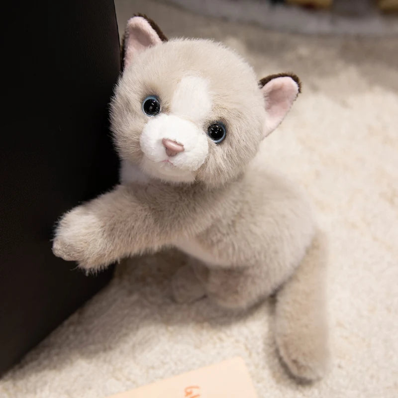 Persian Cat Plush – Gray & Pink Edition