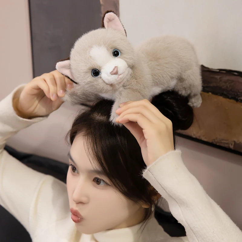 Persian Cat Plush – Gray & Pink Edition
