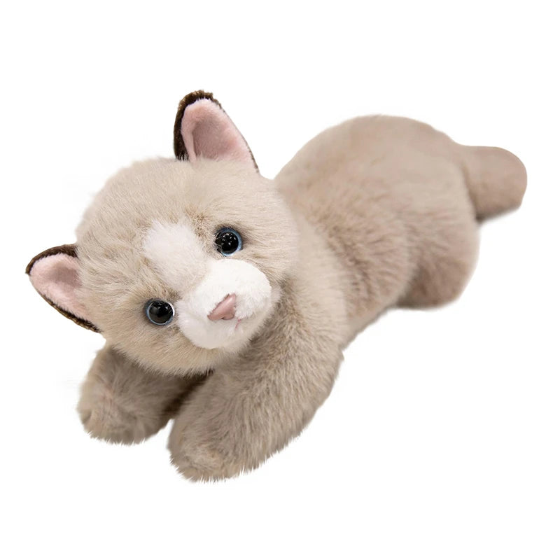 Persian Cat Plush – Gray & Pink Edition